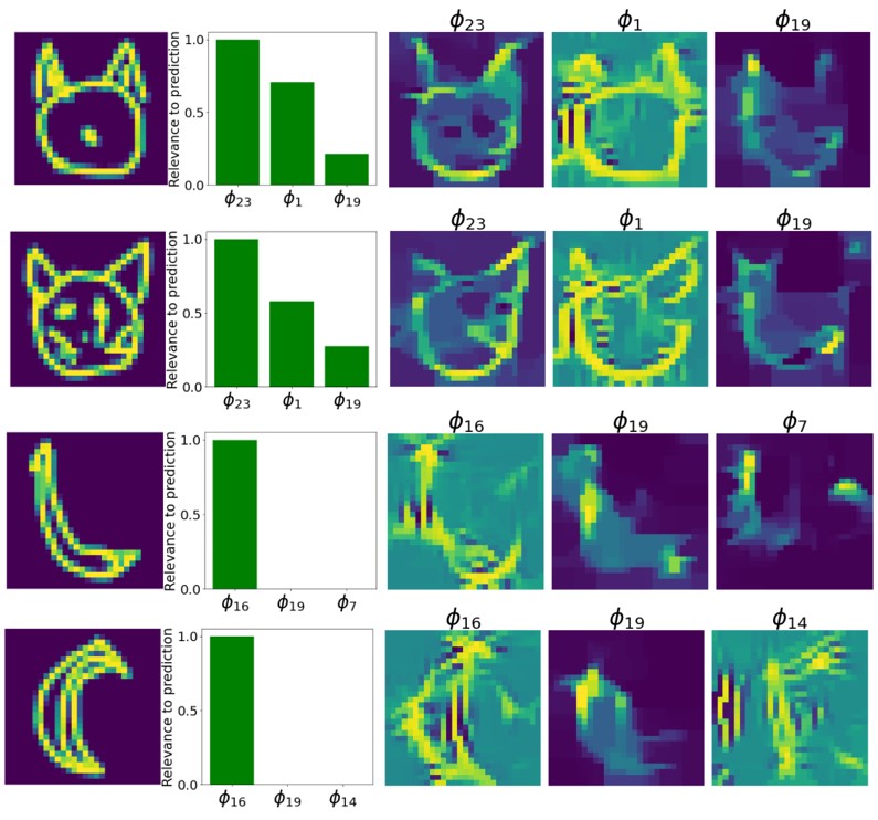 Local interpretations for test samples